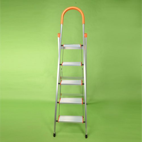 4+1 Ladder